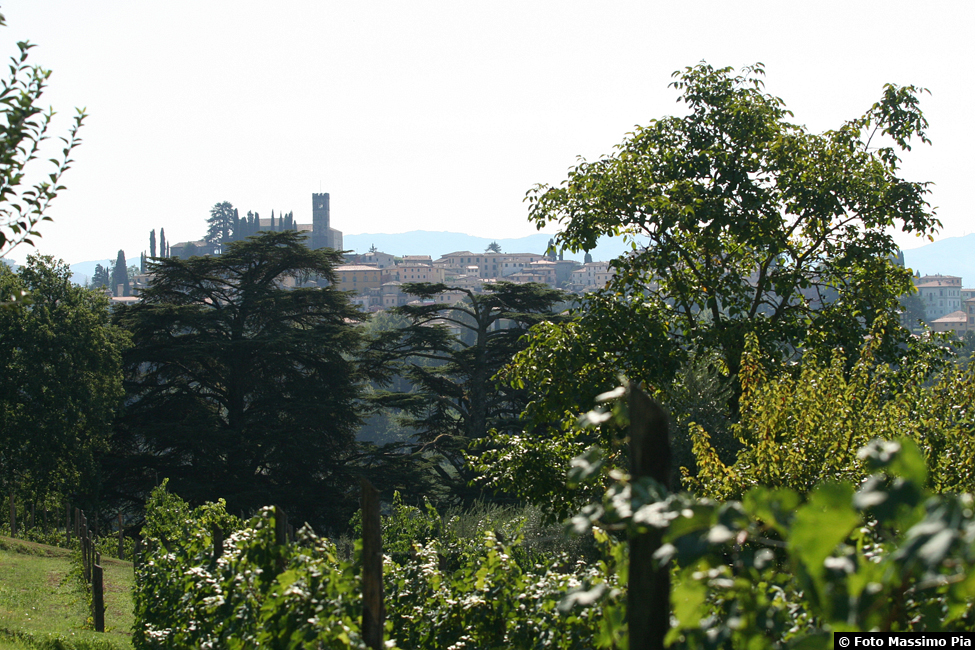 Duomo di Barga - Centro Storico - Vista da I Cedri 